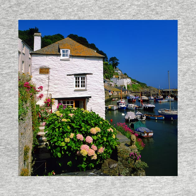 Old Watch House & Polperro Harbour by galpinimages